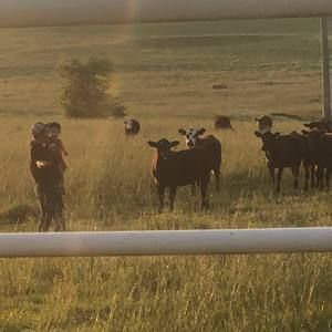 Meet your Posher, Ramiro